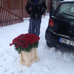 Доставка цветов в город . Отчёт № 1202