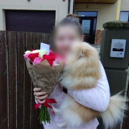 Доставка цветов в город Mārupe. Отчёт № 3805