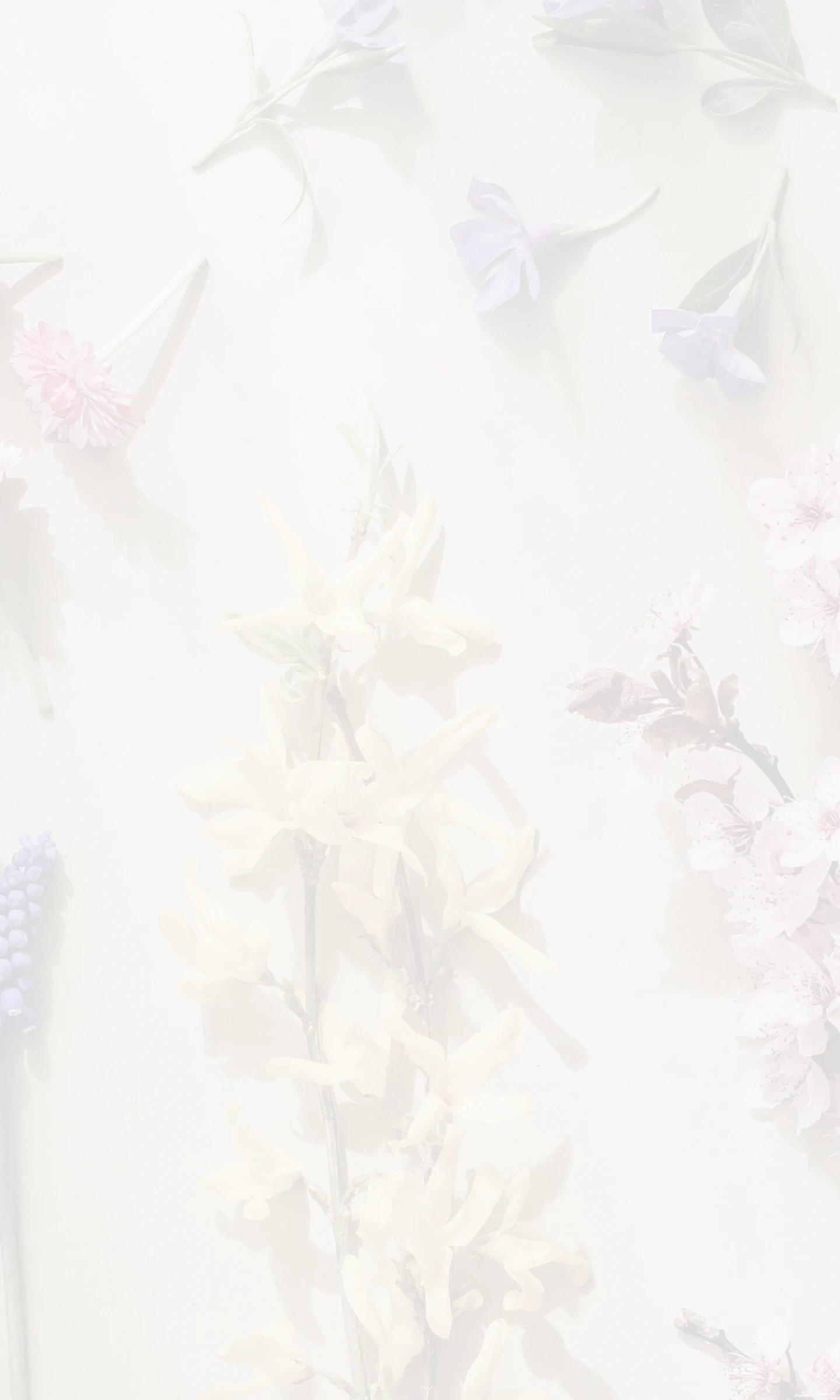 Mobile version of hero banner 2