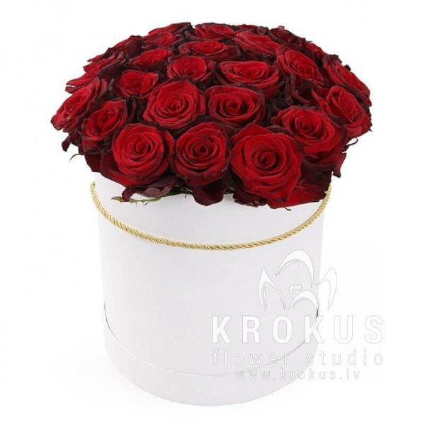 Sarkanas rozes kastē
