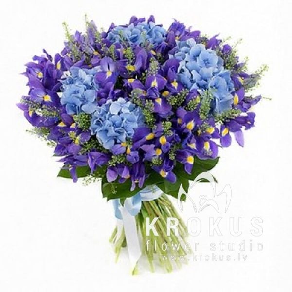 Bouquet of irises and gortezy "Sapphirе"