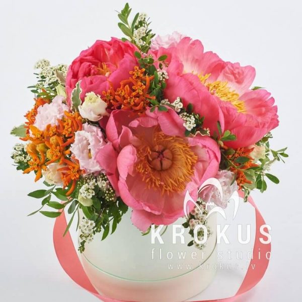 Koraļļu krāsas peonijas kastē