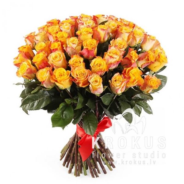 51 ORANŽA ROZE SUPER CENA!!!