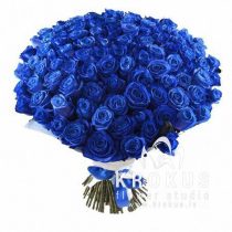 101 Blue rose