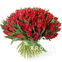 101 Red tulips
