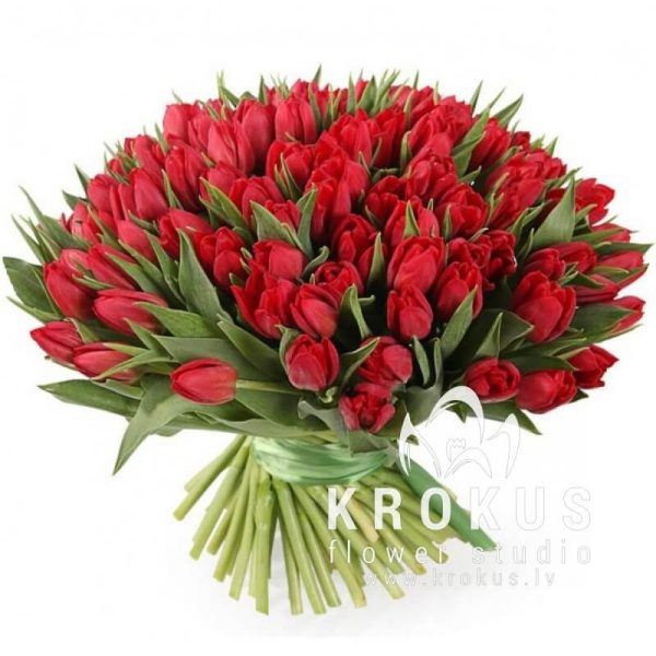101 Sarkanas tulpes