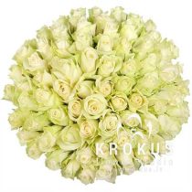 Baltas rozes 40cm