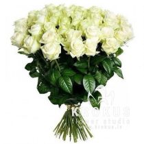 White roses XXL 50cm