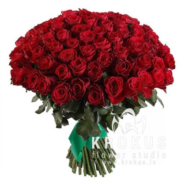 101 red roses XXL❤️