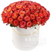 Laima