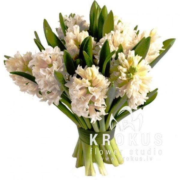 Bouquet of white hiacintes