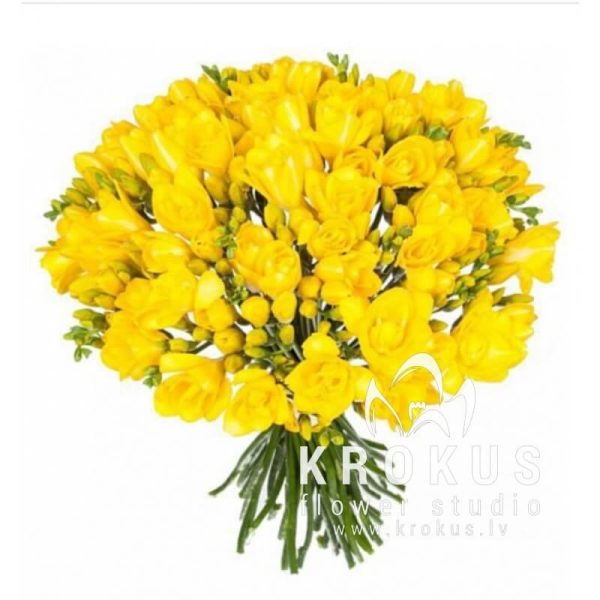 Bouquet yellow freesi