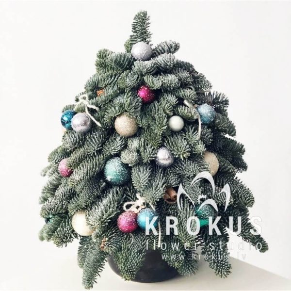 Eglīte ''Ziemas dārzs''