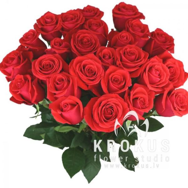 Sārtās rozes 60cm