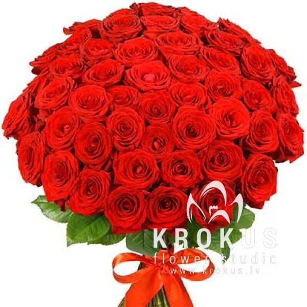 Sārtās rozes 70cm