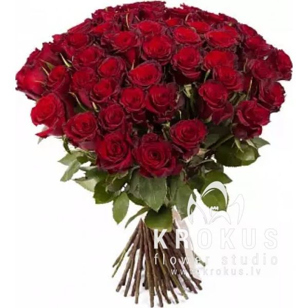 Sarkanas rozes 60cm
