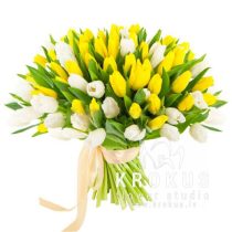 Baltās un dzeltenās tulpes