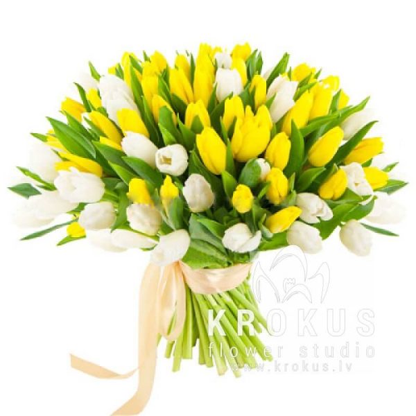 Baltās un dzeltenās tulpes
