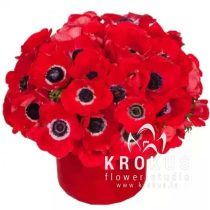 Anemones cepuru kastē