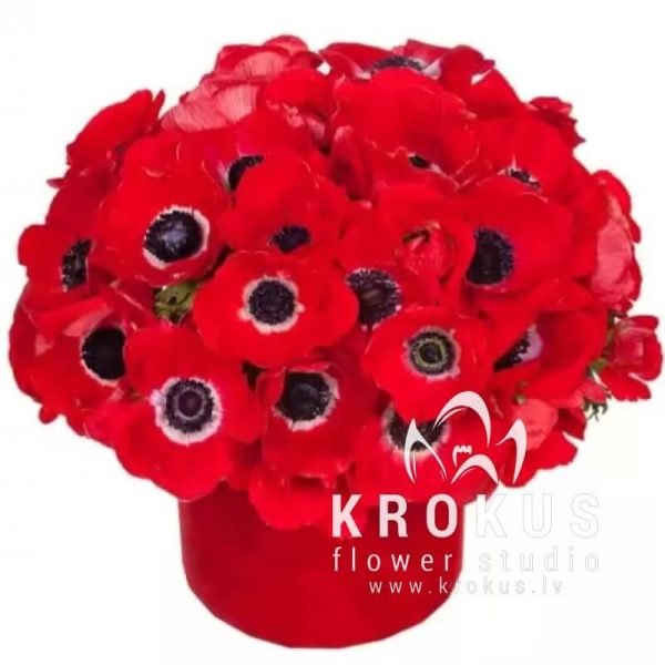 Anemones cepuru kastē