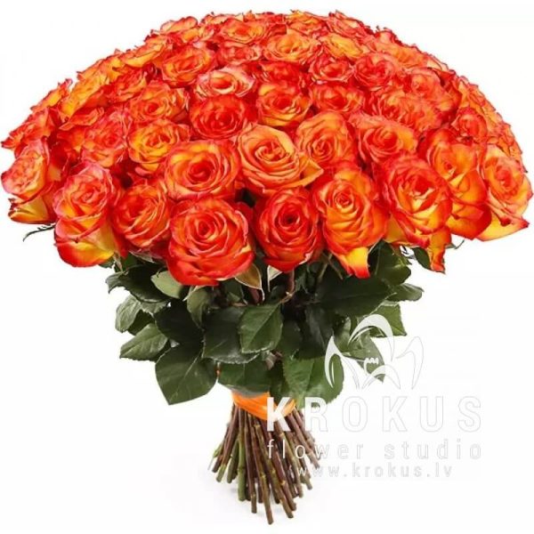 Oranžas rozes