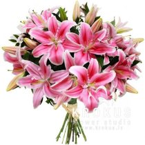 Rozā lilijas