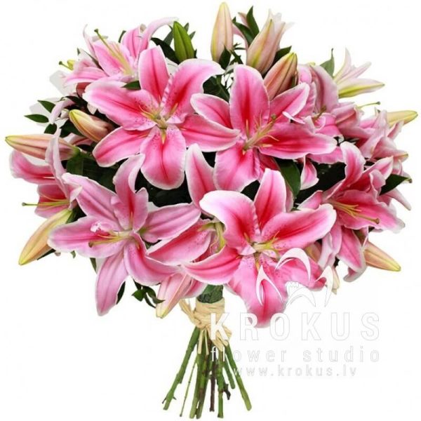 Rozā lilijas