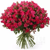 bouquet of spray roses fuxia