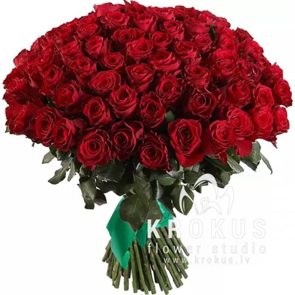 Sarkanas rozes 70cm XXL