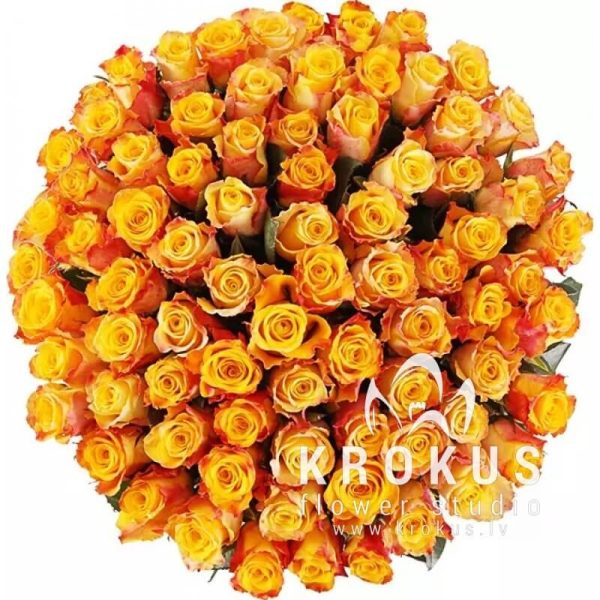 Rozes Marija-Klēra 30cm