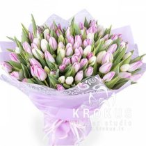 101 BALTI-ROZĀ TULPE