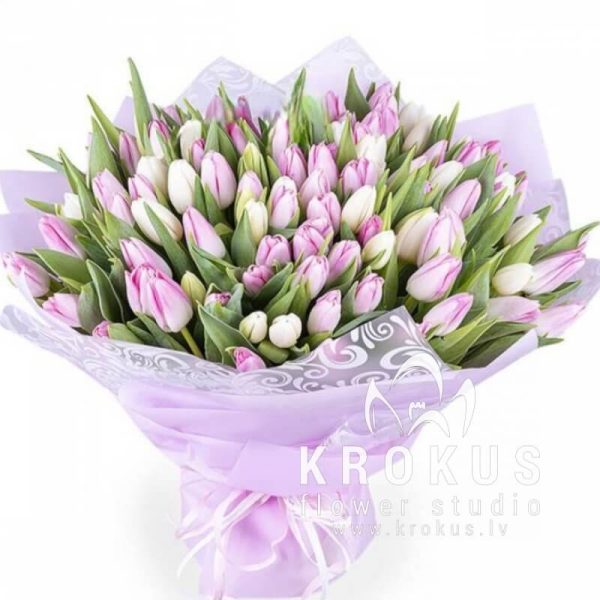101 BALTI-ROZĀ TULPE