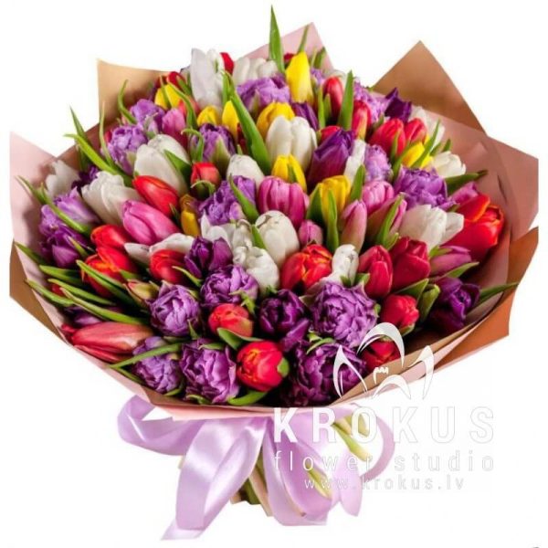 101 Tulip MIX SUPER PRICE