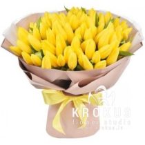 TULPE SAULES ATSPĪDUMS