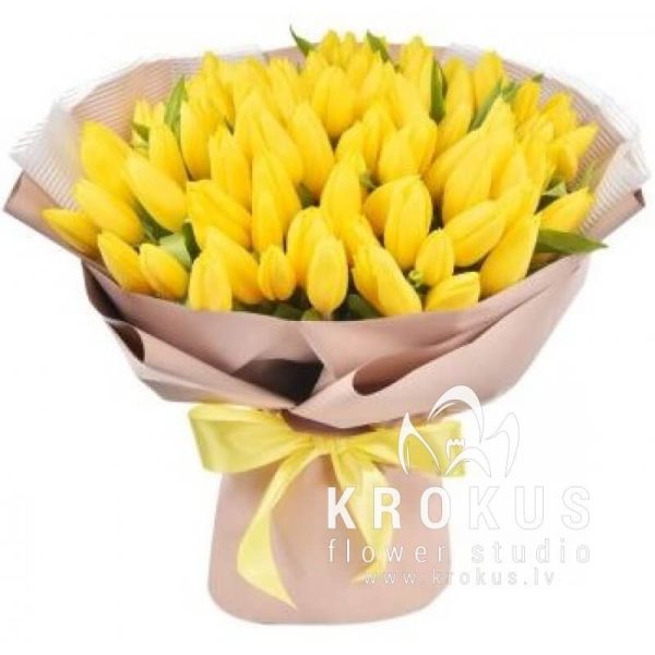 TULPE SAULES ATSPĪDUMS