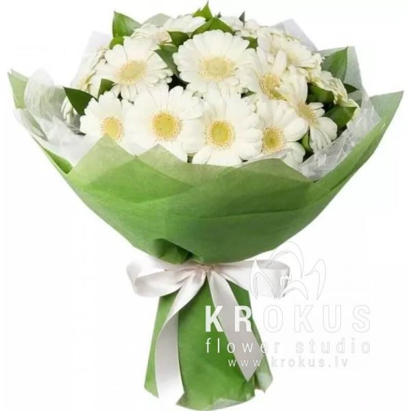 Bouquet of white mini gerberas