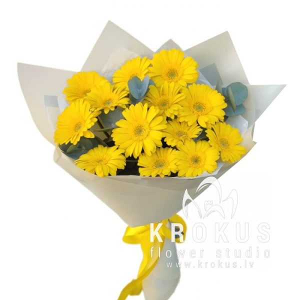 Bouquet of yellow germini