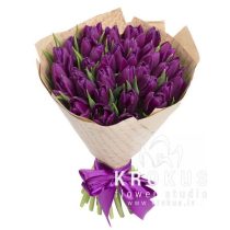 Bouquet of purple tulips