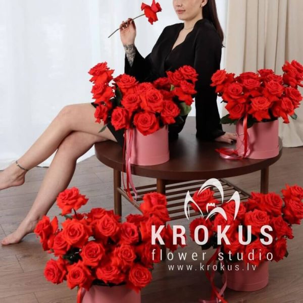Sarkano rožu sets