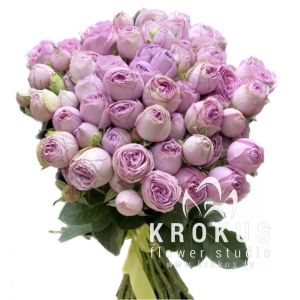 Lavander lace rozes