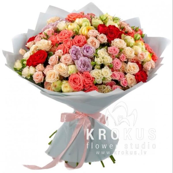 Krūmrozes MIX
