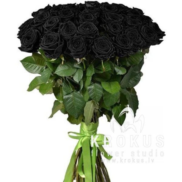 Melnas rozes