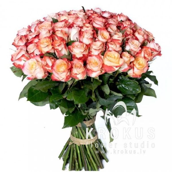 Divkrāsu rozes 40cm