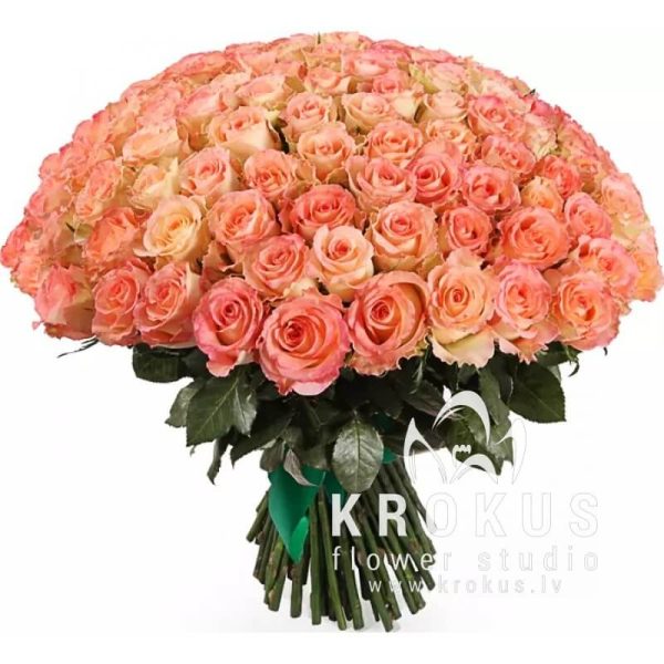 101 roze Duet Classic SUPER CENA!