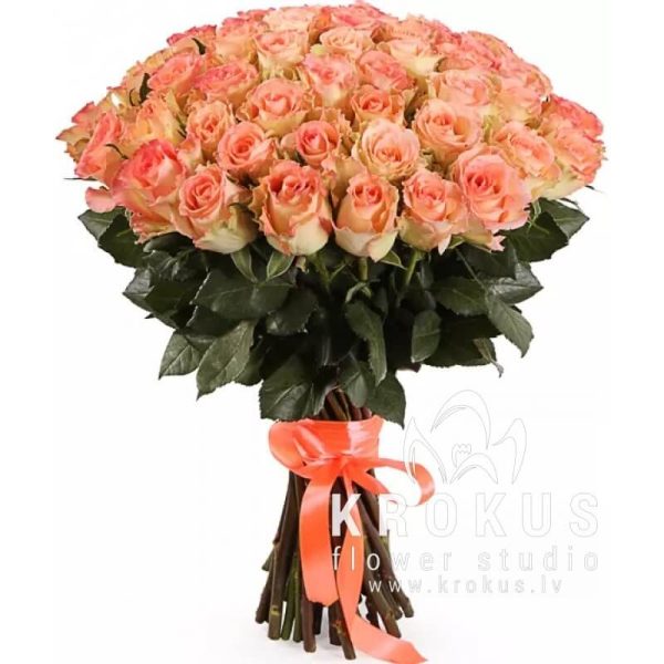 51 rose Duet Classic SUPER PRICE!
