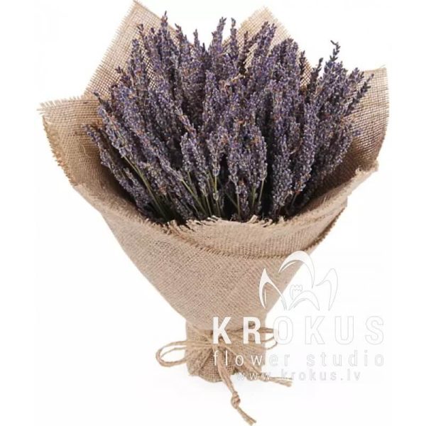 Lavanda