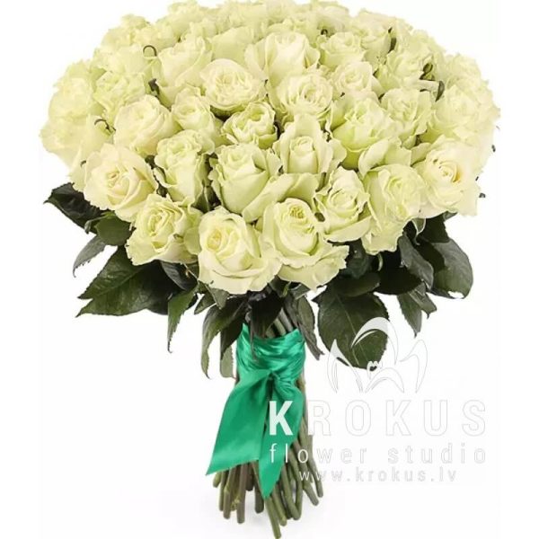 Baltas rozes 60cm
