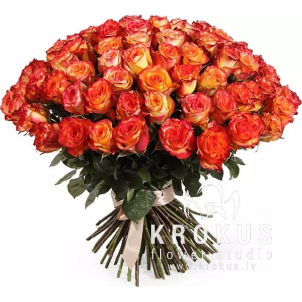 Divkrāsu rozes
