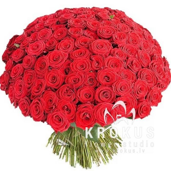 Букет из 201 розы c большим бутоном❤️