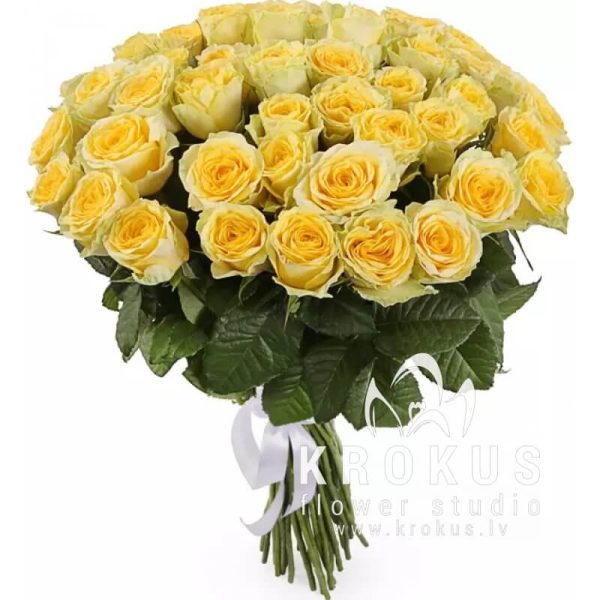 Dzeltenas rozes 60cm